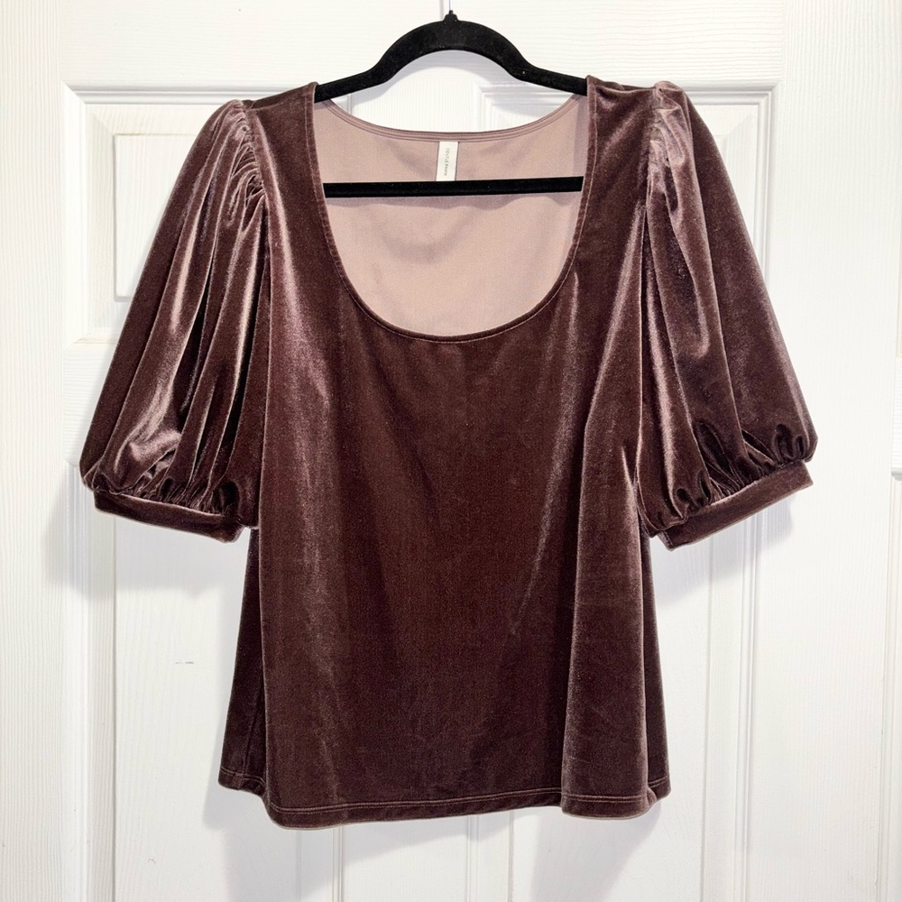 Gentle Fawn Velvet Puff Sleeve Top in Sable Short Volume Sleeves Size Large